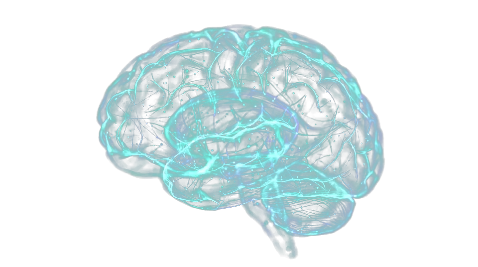 A glowing neural network forming a brain: Logiqo's Second Brain